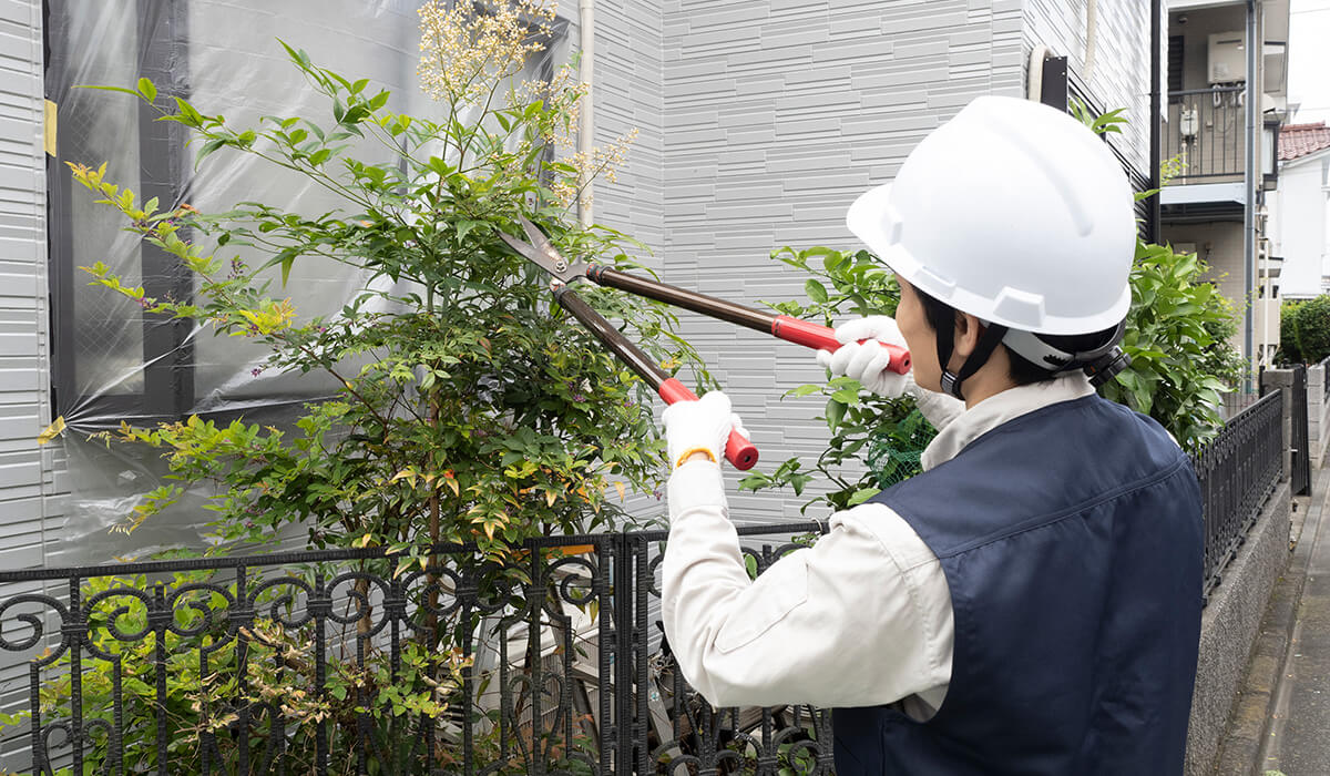 植栽の管理
