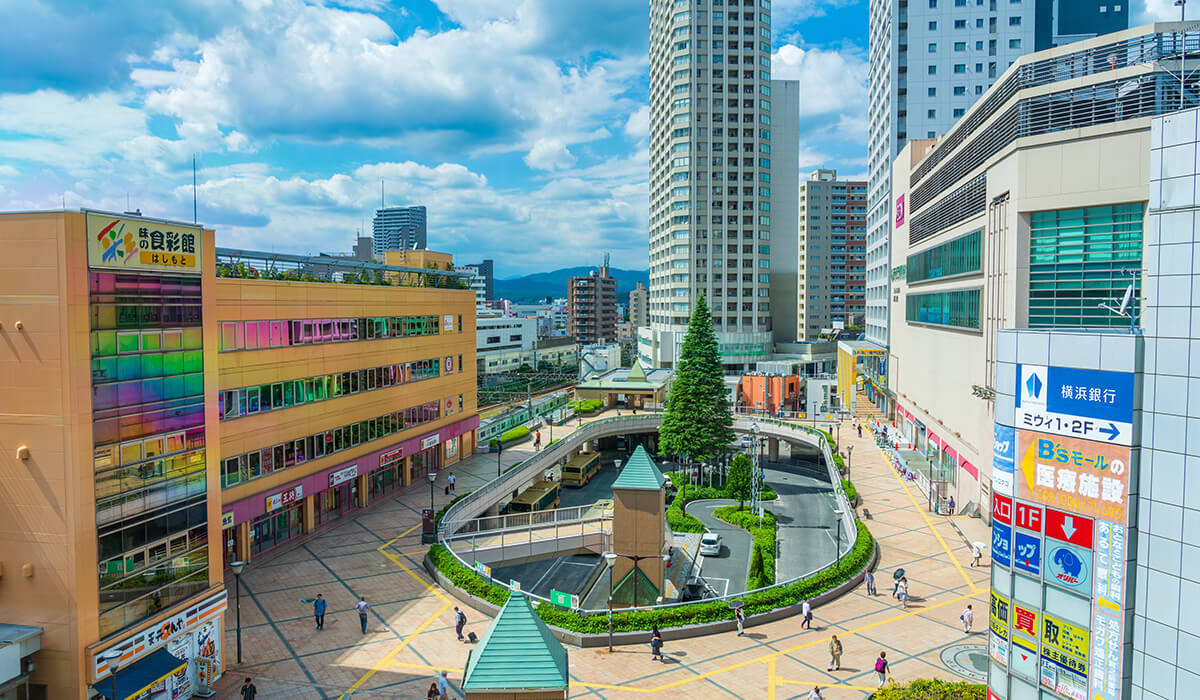 相模原市の特徴